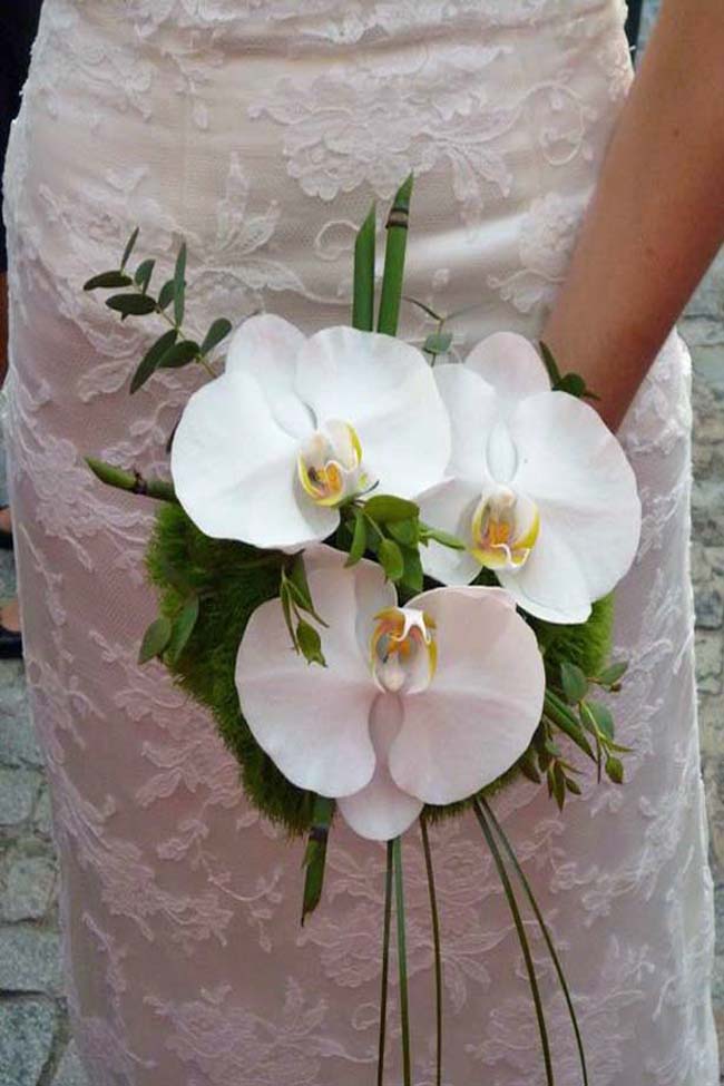 Bruidsboeket-Orchidee
